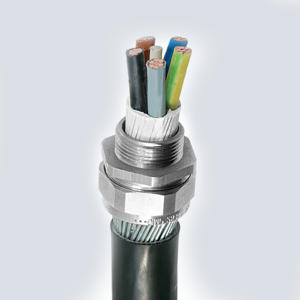 Cable Glands