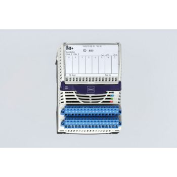 Temperature Input Module for Zone 1 / Class I, Div.1 Series 9482/33 - 217644 (948200000000)