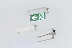 R.STAHL Emergency sign WH/GN EXIT both-way230x390